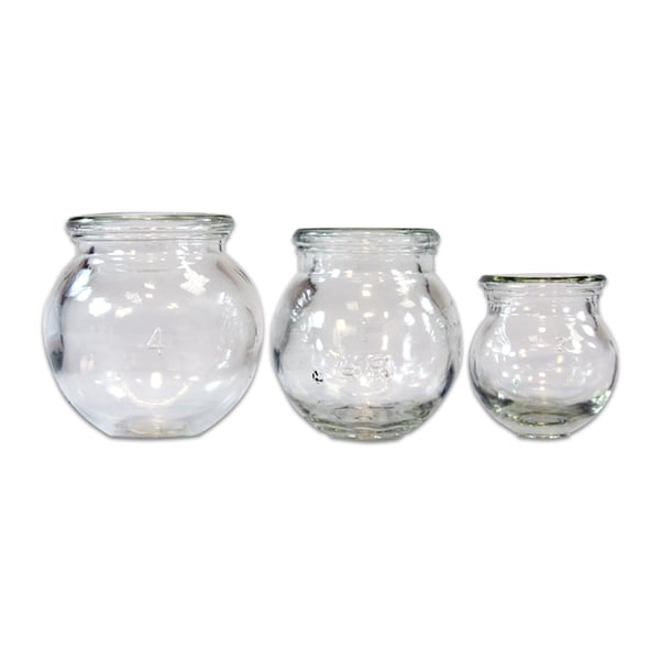 Glas-Saugnapf-Kit (drei Einheiten)